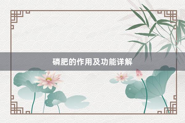 磷肥的作用及功能详解