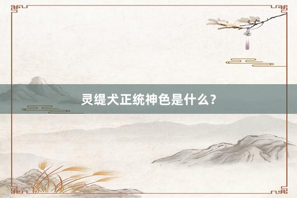 灵缇犬正统神色是什么？